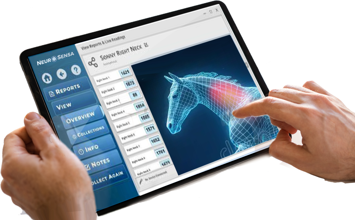 Neumap™ Equine Software